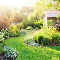 Garten fit für den Sommer machen